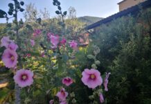 Ricominciare II Parte