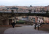 Il Fiore della Vita