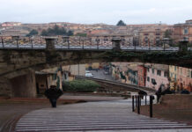 Il Fiore della Vita