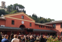 Il Fiore della Vita